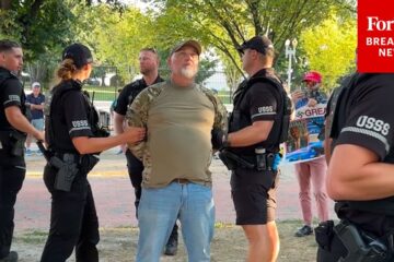 Man Is Arrested For Burning An American Flag Outside The White House