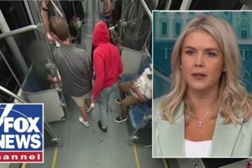 ‘THIS IS MADNESS’: Leavitt calls Charlotte stabbing ‘pure evil on full display’