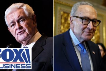 Newt Gingrich TORCHES Schumer over ‘inhumane, dumb’ remark