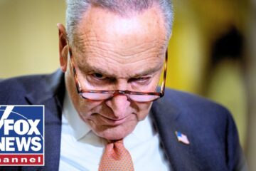 Schumer ROASTED for wanting to ‘play political games’
