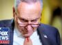 Schumer ROASTED for wanting to ‘play political games’